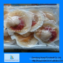 Sea 7-8cm scallop seafood